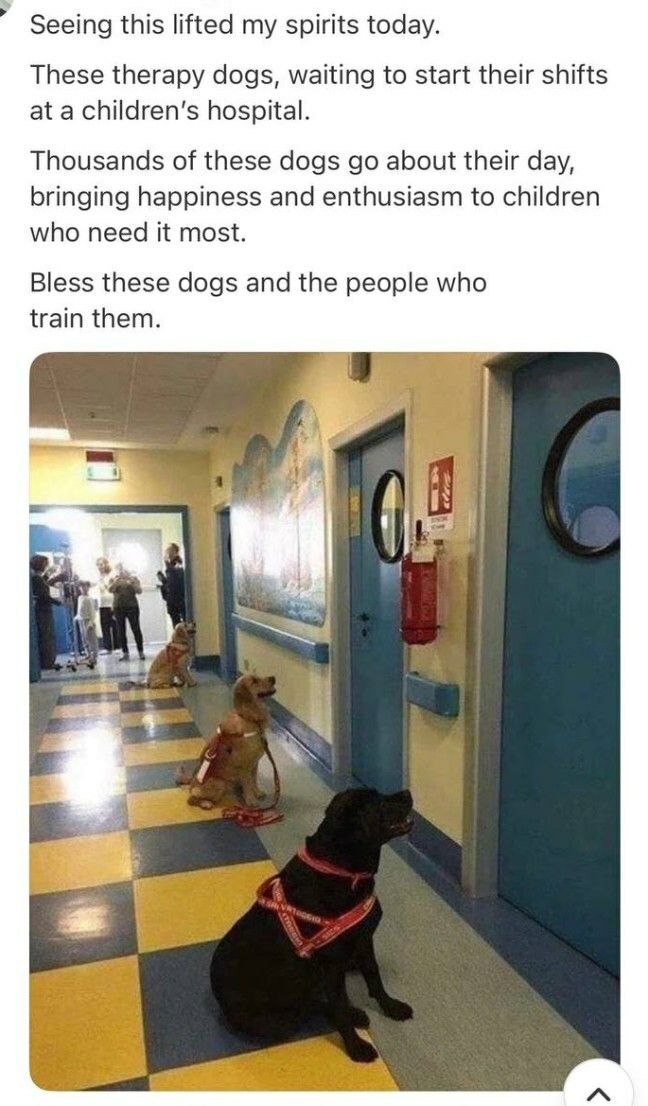 [Image: ME1800HM_o.jpg]