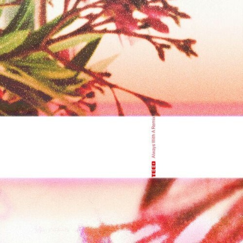  TEED - Always With A Remix (2026) 
