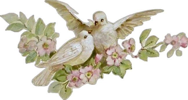 Art of two doves on a flowery branch.