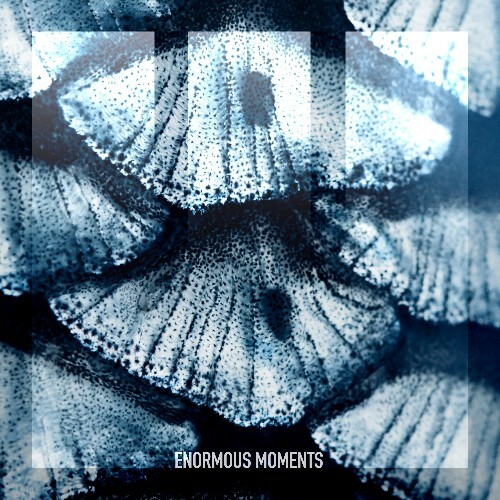  Bar Shaked - No Name (2025) 