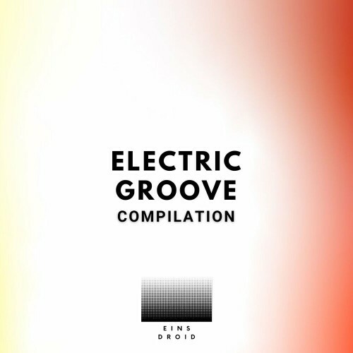 Danne Fisher - Electric Groove (2024)