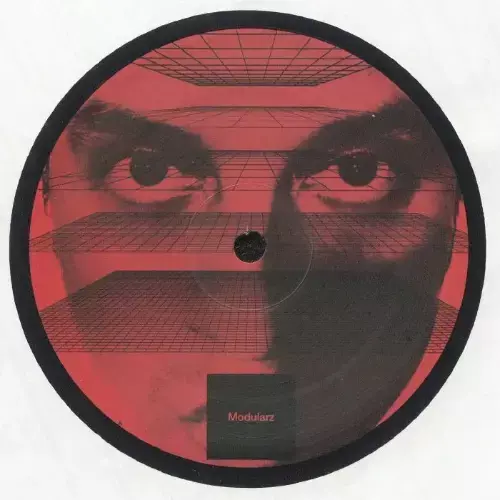  Developer - Mesmeric Movements (2025) 