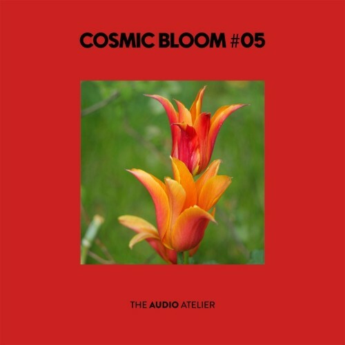 Cosmic Bloom #05 (2026)