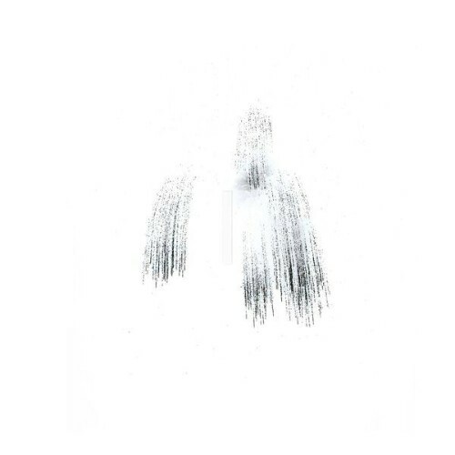 Akira Uchida — Nusa (2026)