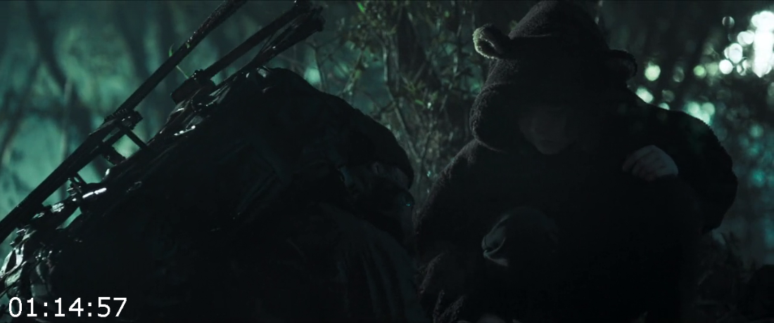 [Kép: ME19KTZ6_o.png]