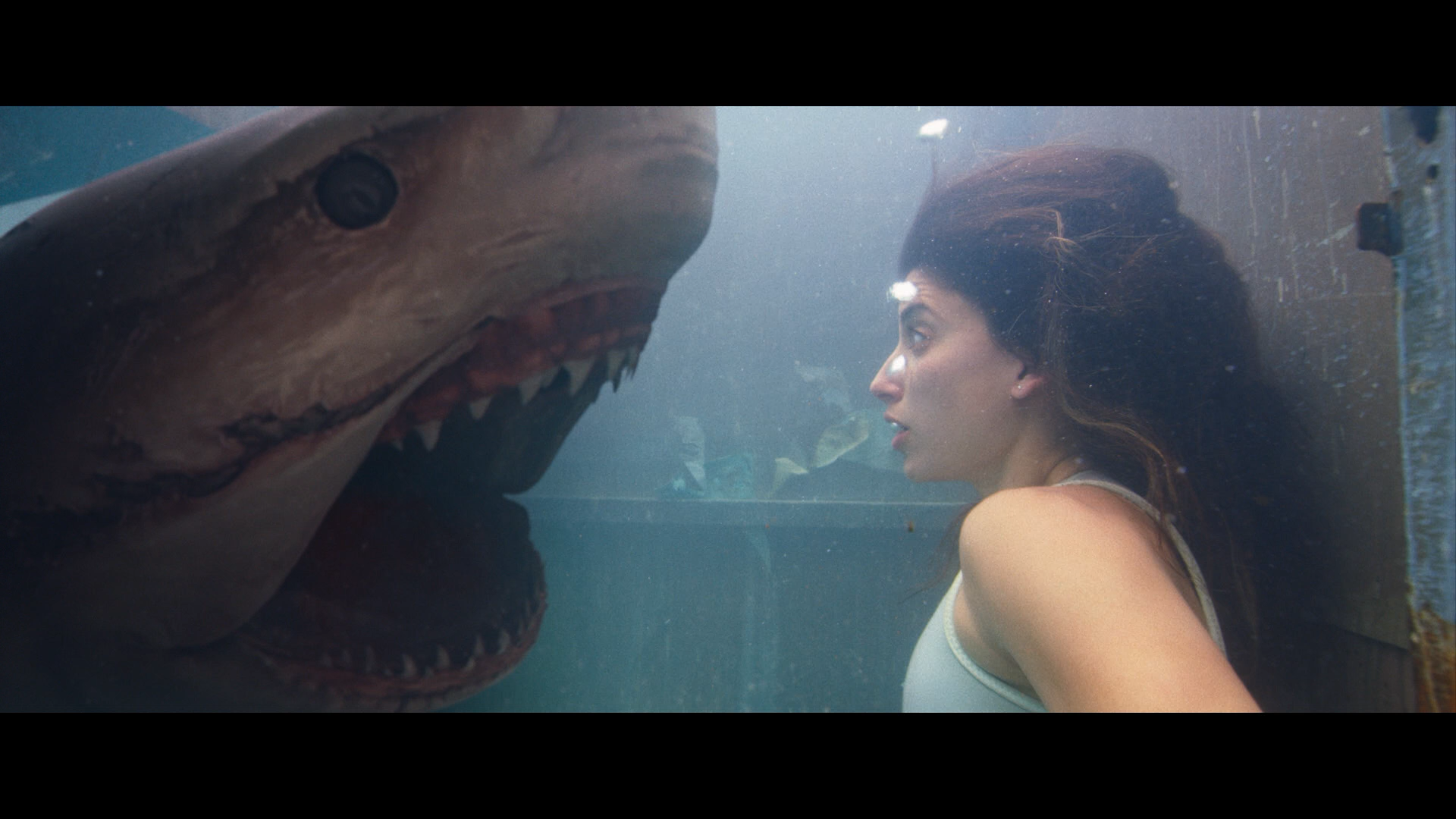 Ужасы про акул новинки. Таня Реймонд глубокое синее море 3. Акула мако глубокое синее море.