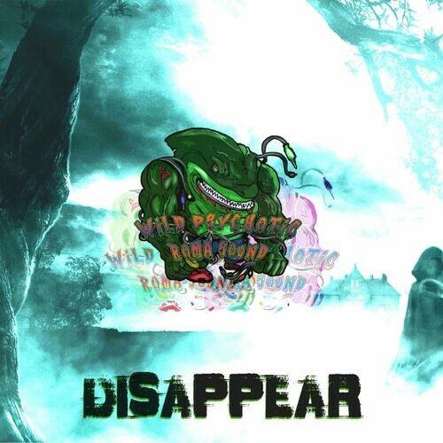  DISAPPEAR (2023) 