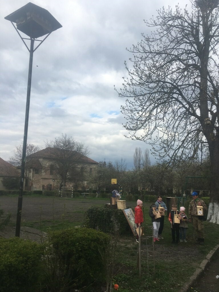 Beregovo-synychnyky_005.jpg