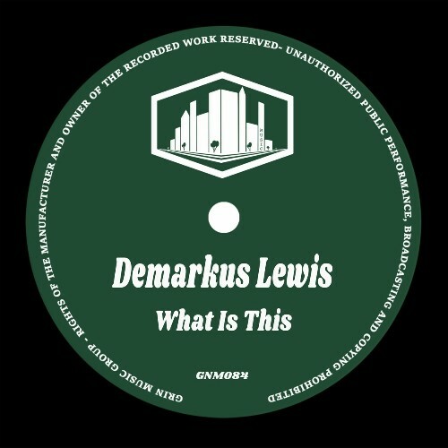  Demarkus Lewis - What Is This (2024) 