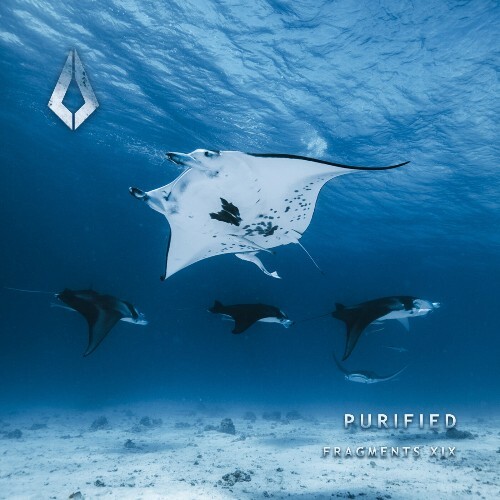  Outbeat - Purified Fragments XXIX (2025) 