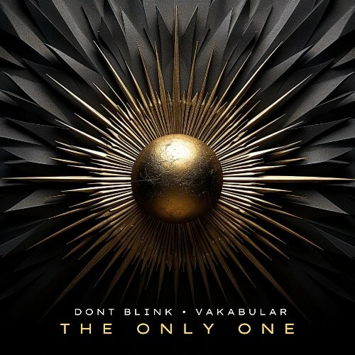  DONT BLINK & Vakabular - THE ONLY ONE (2024) 