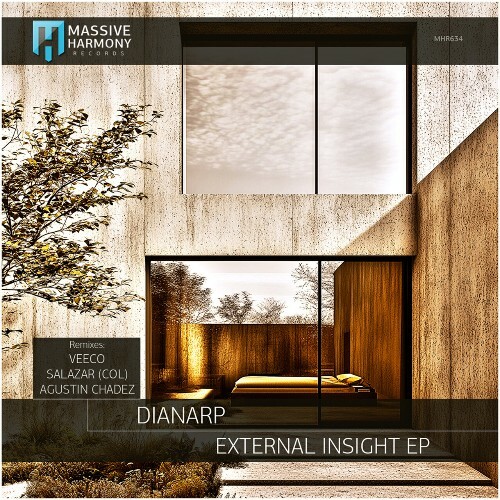  Dianarp - External Insight (2025) 