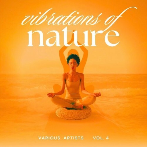  Vibrations of Nature, Vol. 4 (2025) 