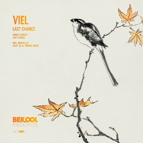  VieL - Last Chance (2024) 