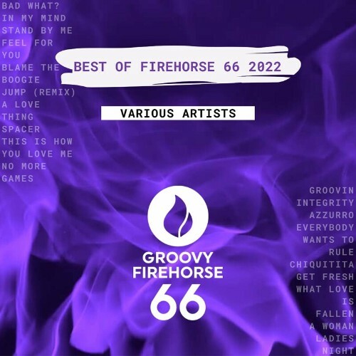 Best of Firehorse 66 2022 (Extended Mixes) (2023) MP3