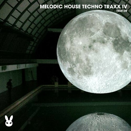  Melodic House Techno Traxx IV (2024) 