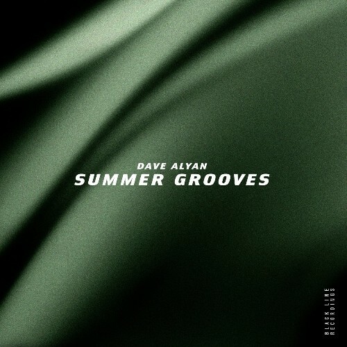  Dave Alyan - Summer Grooves (2025) 