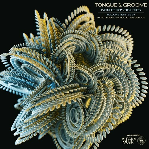  Tongue & Groove - Infinite Possiblities (2024) 