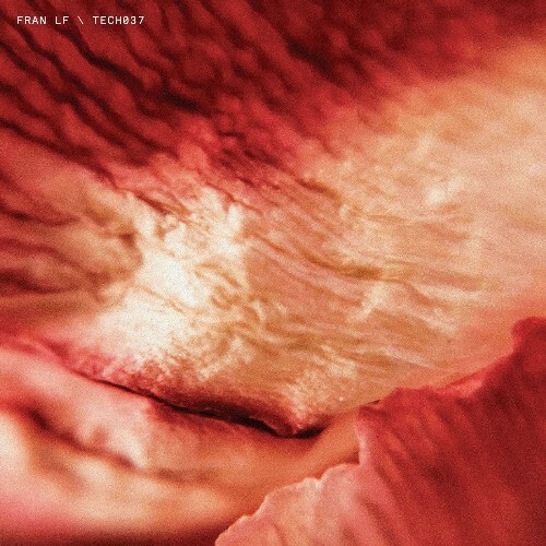  Fran LF - TECH037 (2026) 
