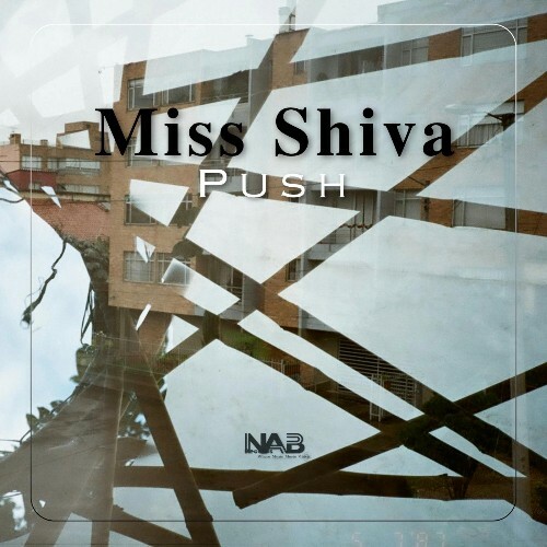  Miss Shiva - Push (2025) 