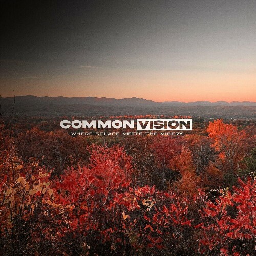  Common Vision - Where Solace Meets the Misery (2024)  METX6JX_o
