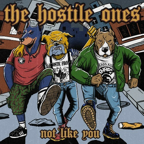  The Hostile Ones - Not Like You (2025) 