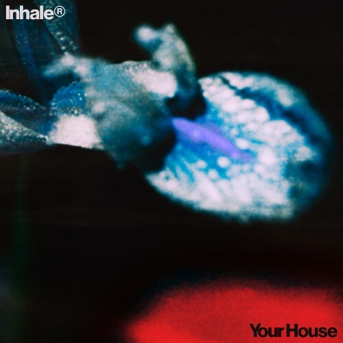  Inhaler - Your House (2024) 