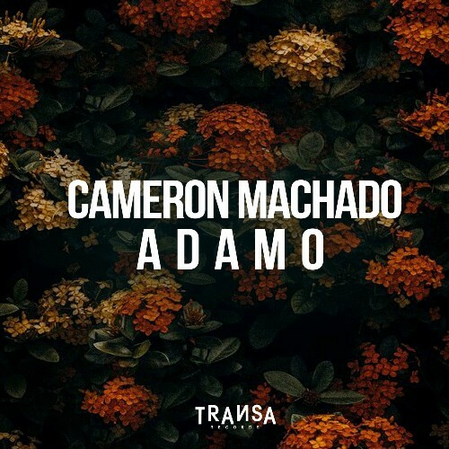  Cameron Machado - Adamo (2024) 