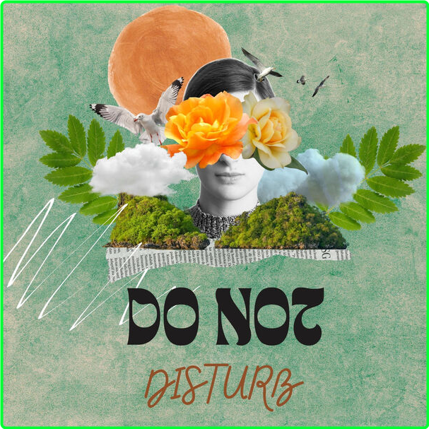 Various Artists - Do Not Disturb (2024) [320 Kbps] MESLIYU_o