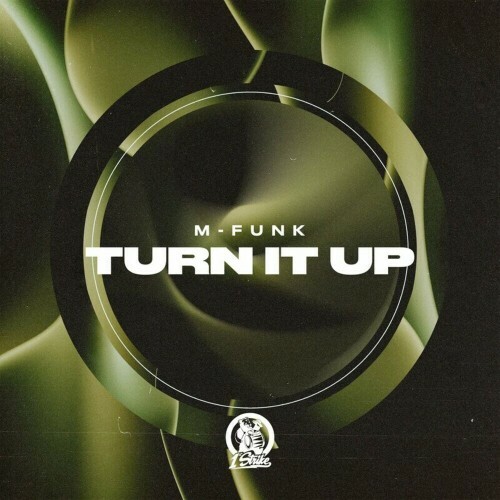  M-Funk - Turn It Up (2024) 