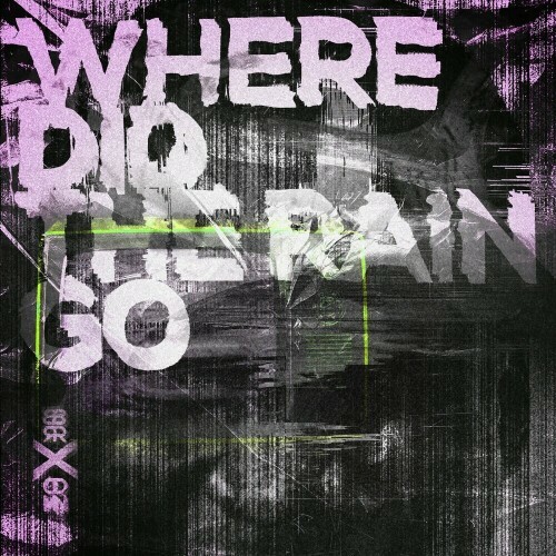 Brxdn. - Where Did The Rain Go (2024)