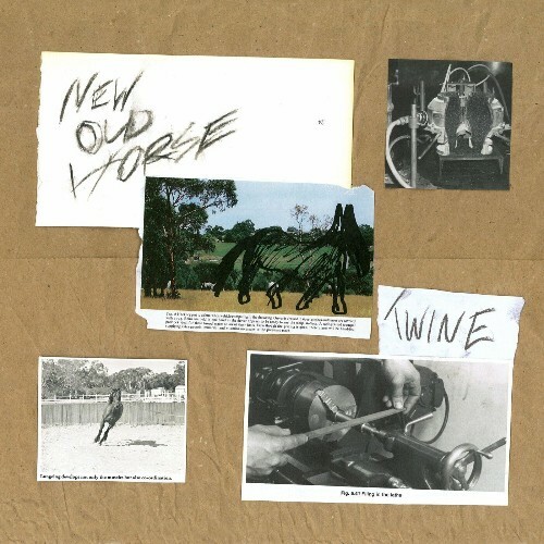  Twine - New Old Horse (2024) 