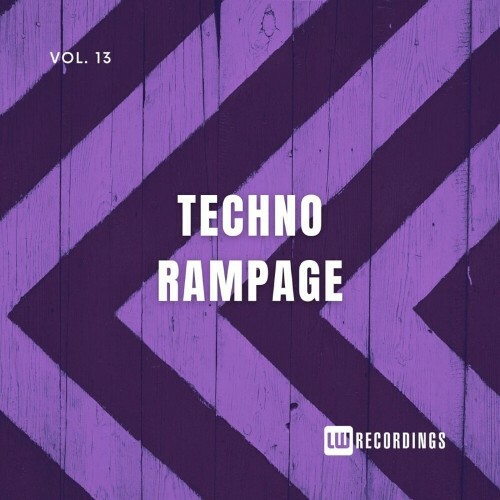  Techno Rampage, Vol. 13 (2024) 