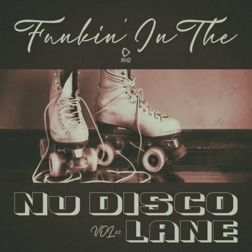 Funkin' in the Nu Disco Lane, Vol.03 (2025)