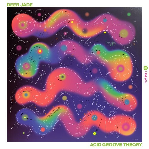 Deer Jade — Acid Groove Theory (2026)