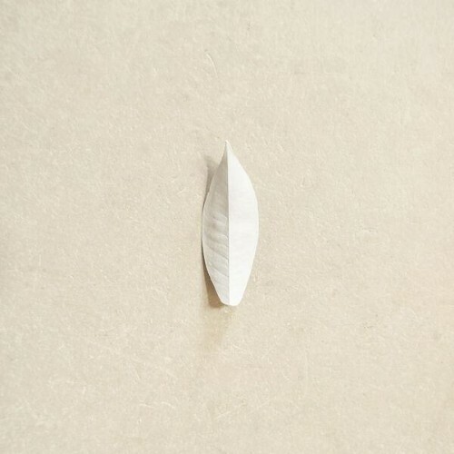 Sylvain Chauveau — The Complexity Of The Simple (2026)