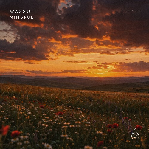  Wassu - Mindful (2026) 