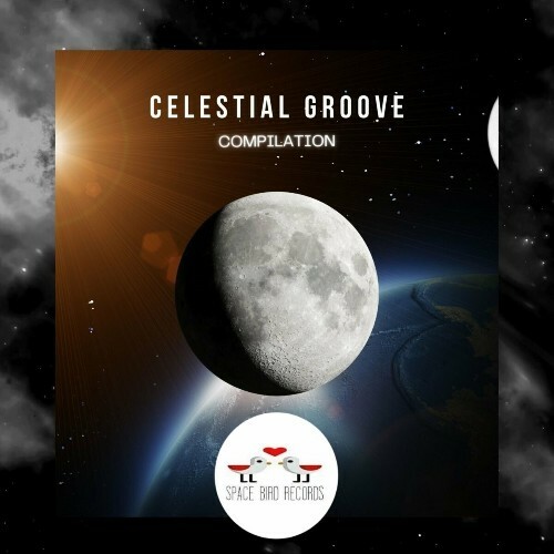  Chuxutris - Celestial Groove (2024) 