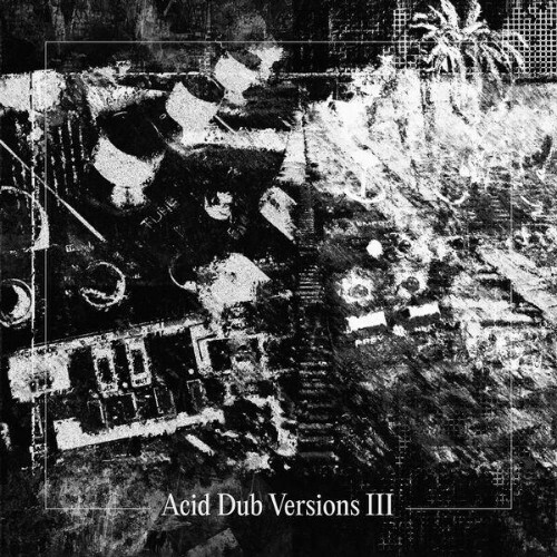  Om Unit - Acid Dub Versions III (2025) 
