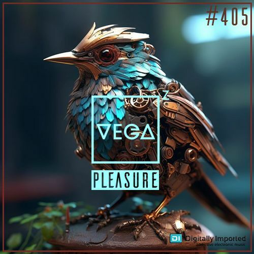 Vega Z - Pleasure 405 (2024-11-13)