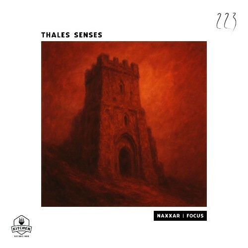  Thales Senses - Naxxar | Focus (2026) 