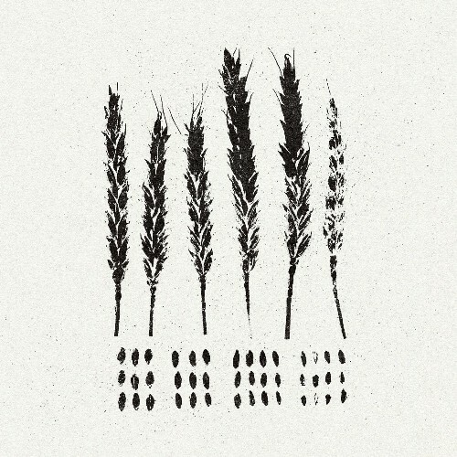 Lo! - The Gleaners (2023)