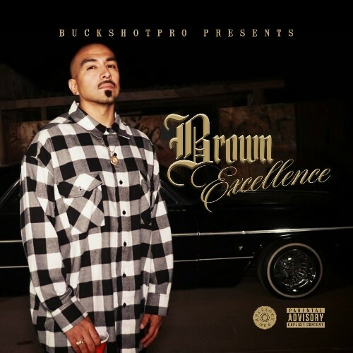 VA - Slowpoke - BuckShotPro Presents Brown Excellence (2024) (MP3) MEUDDUF_o