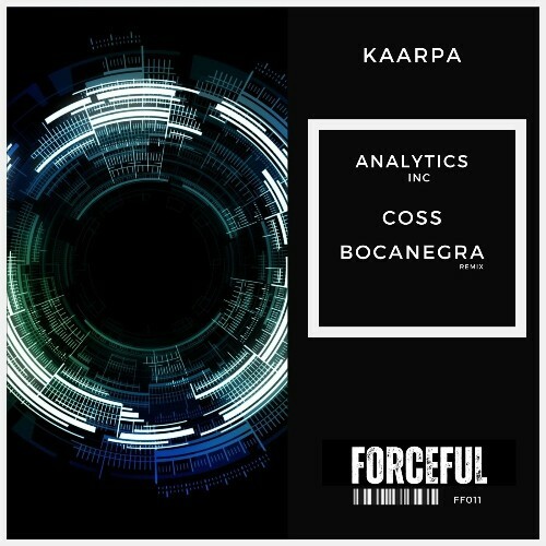  Kaarpa - Analytics (2024) 