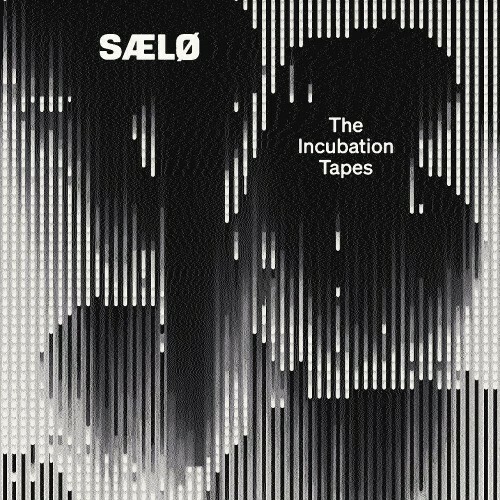  SÆLØ - The Incubation Tapes (2026) 