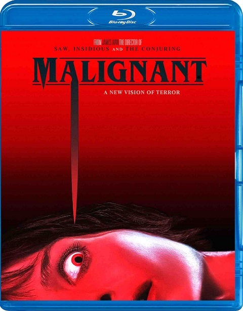 Malignant 2021 720p BRRip Hindi DD 5 1Ch TwZ