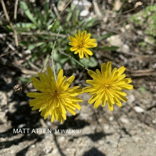 Matt Atten - M Walk III (2025) Matt Atten - M Walk III (2025)