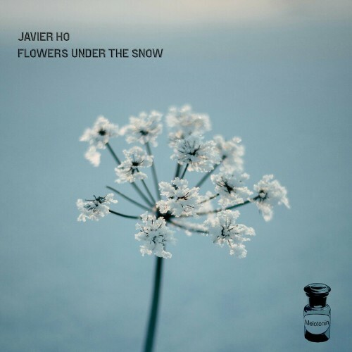  Javier Ho - Flowers Under the Snow (2024) 