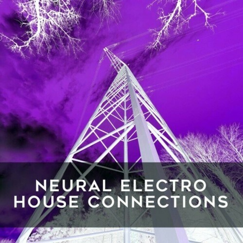  Neural Electro House Connections (2024) 