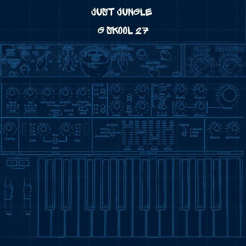 VA | Just Jungle - G Skool Vol 27 2024 год Скачать Онлайн в Mp3 (Бесплатно)